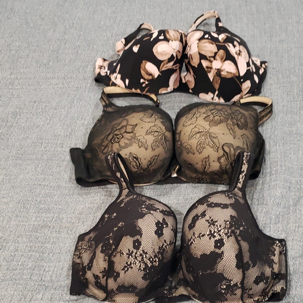 3 Lane Bryant Cacique Bras